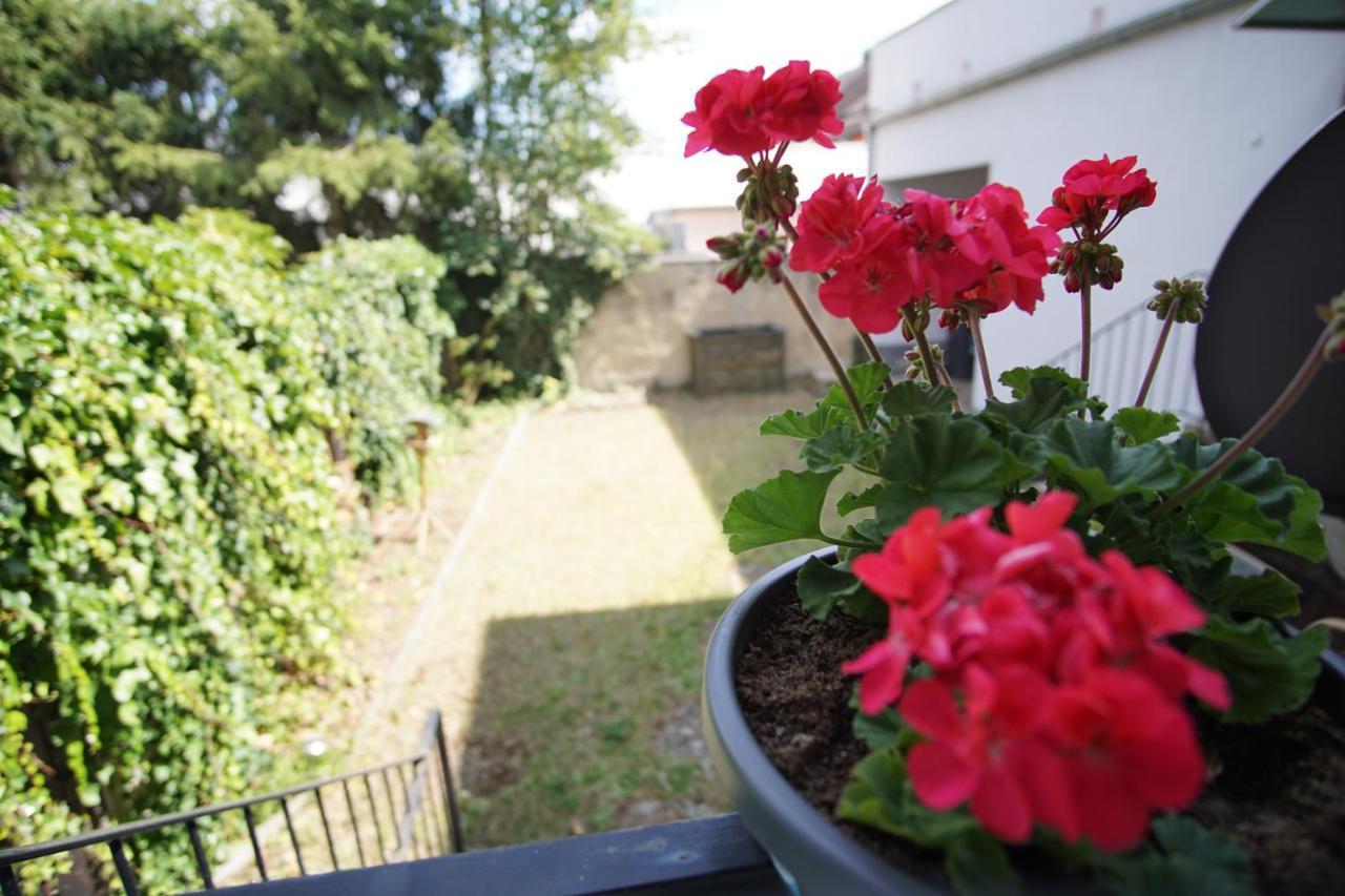 - Am Stadtgarten