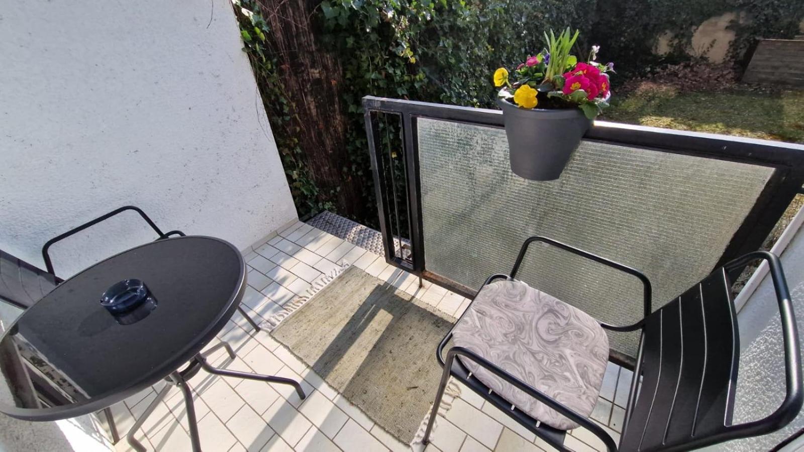 - Am Stadtgarten Homestay